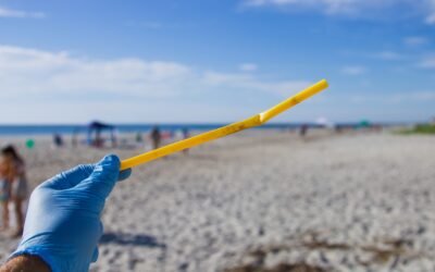 Plastica | Stop all’usa e getta