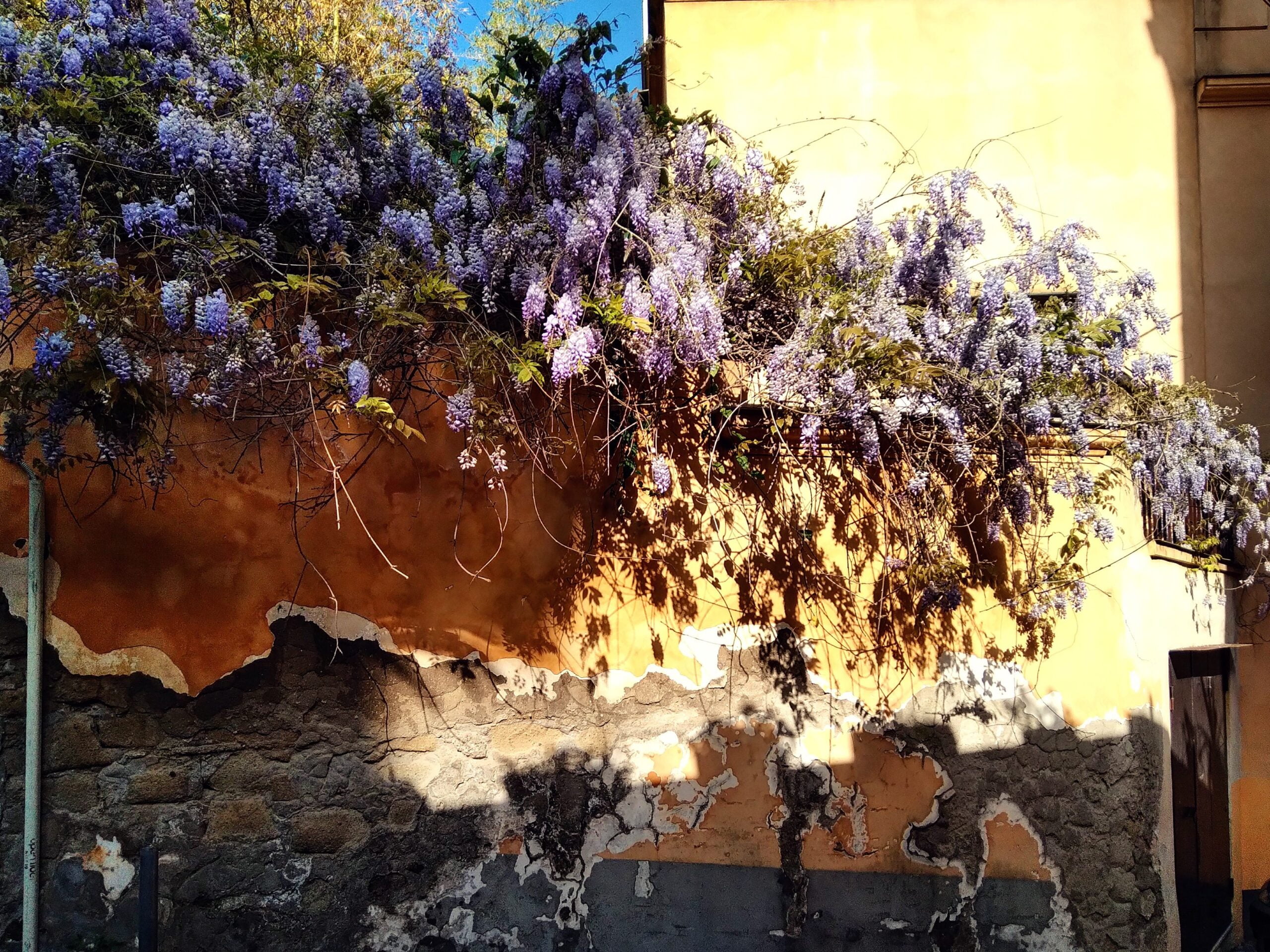 5 Buoni motivi per andare a camminare