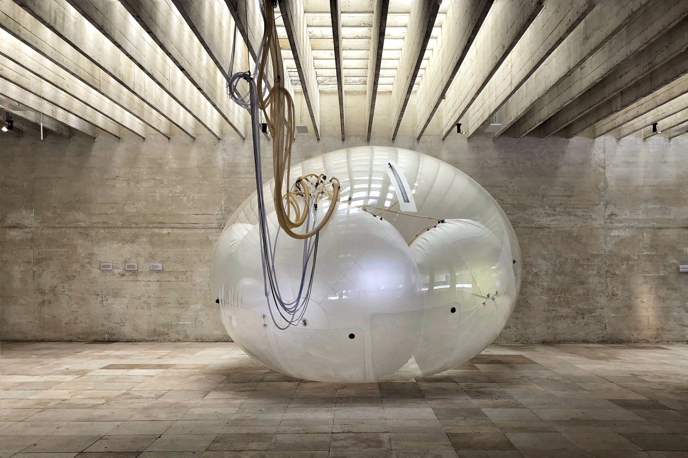 Biennale di Venezia | Cosa vedere