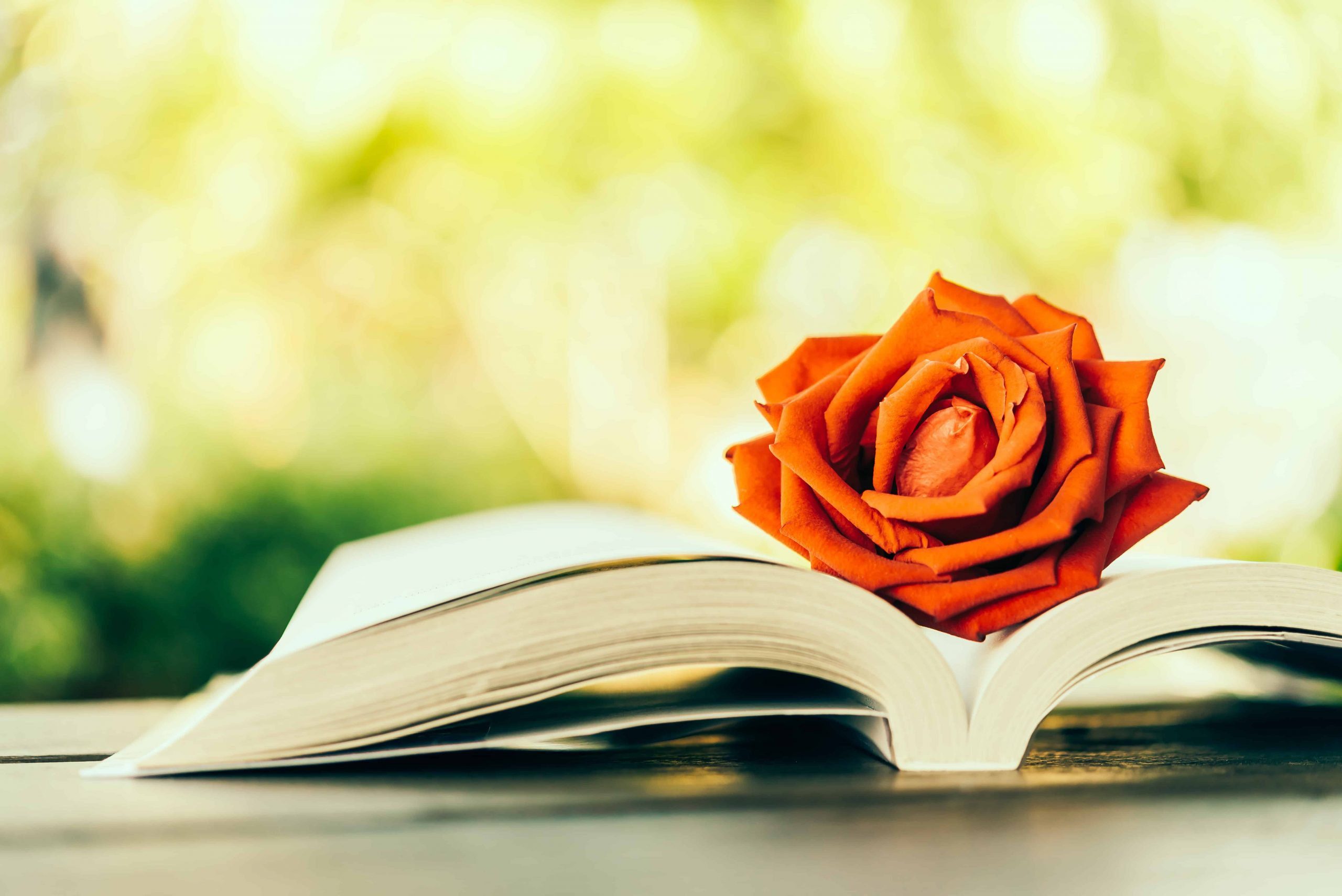 Monika Venusia – Due libri, due storie d’amore