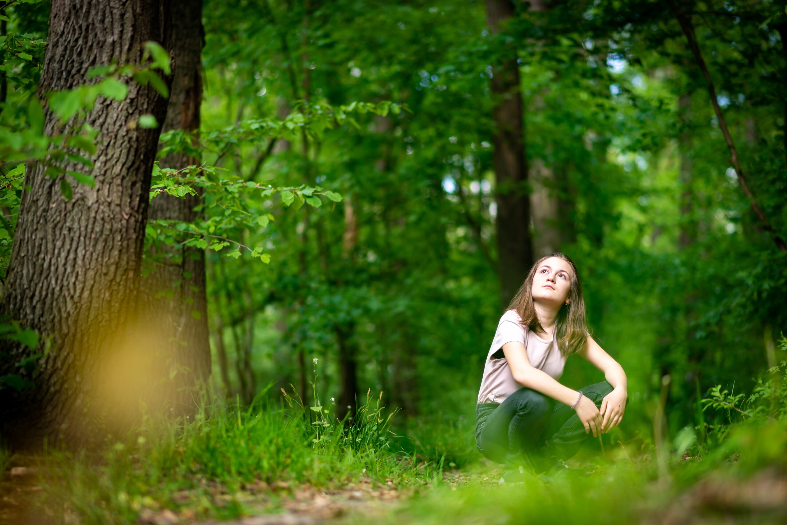 Le oasi del respiro dove fare forest bathing